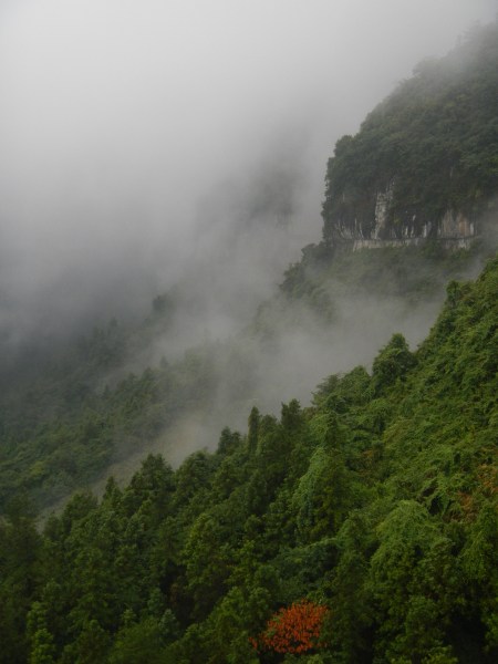 DSCN3254-20130824 Tianmenshan mountainside