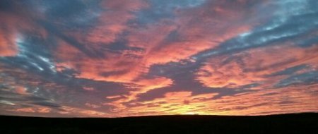 IMG_20131202_073646.jpg image