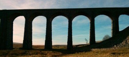 IMG_20131202_075143.jpg image